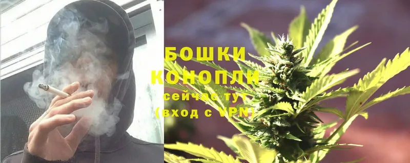 Каннабис OG Kush  наркота  мега маркетплейс  Ногинск 